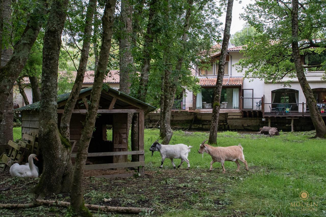 Moulin Du Val De Seugne Hotel Mosnac  Exterior foto